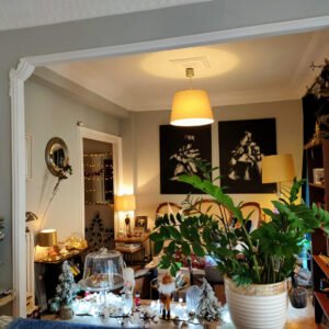 La colección de plantas —más de 50 repartidas por toda la casa— aporta frescura, vitalidad y una presencia silenciosa que equilibra el conjunto